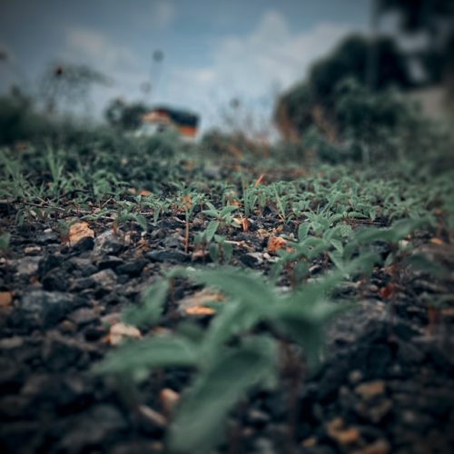vlogger-dark-5fr84c0PMR8-unsplash